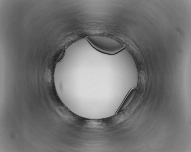 X0000113060380200908280953