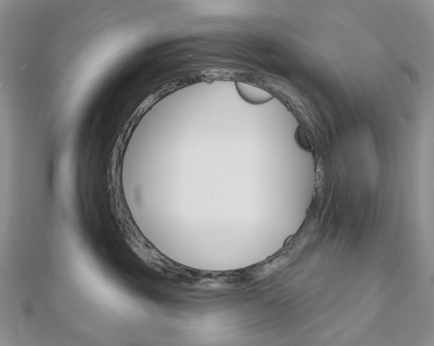 X0000113060381200908280953