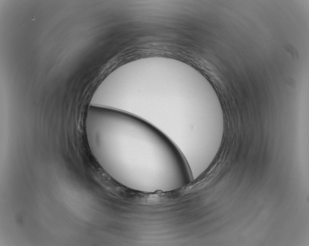 X0000113060382200908280953