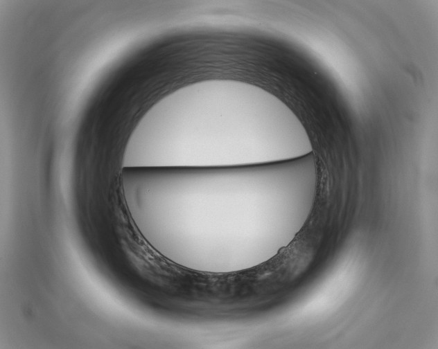X0000113060383200908280953