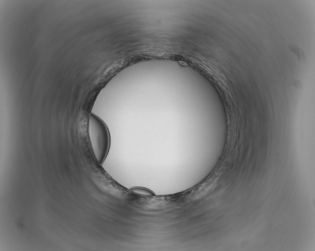 X0000113060384200908280953