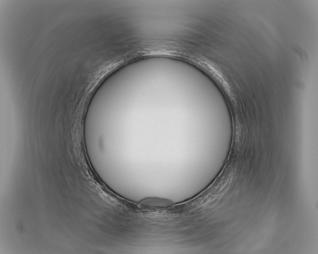 X0000113060385200908280952