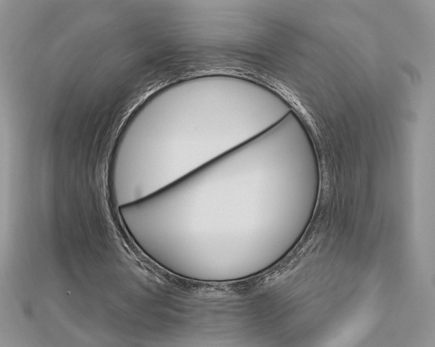 X0000113060386200908280952