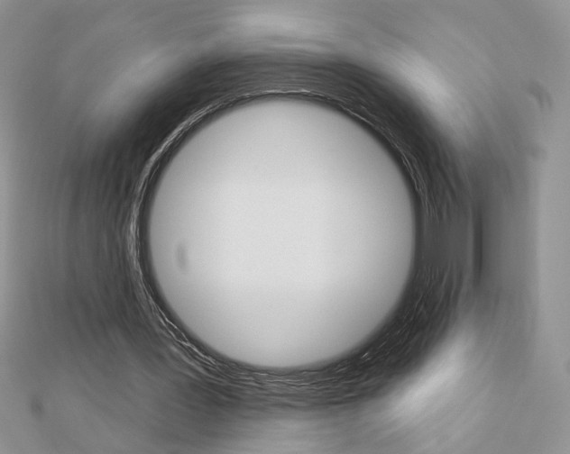 X0000113060387200908280952