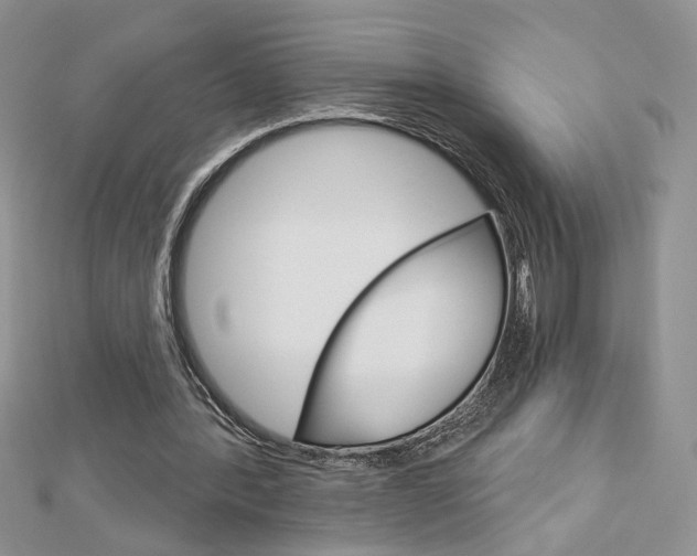 X0000113060388200908280952