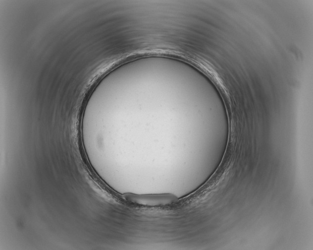X0000113060389200908280952