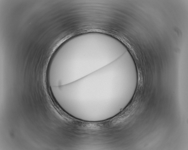 X0000113060390200908280952