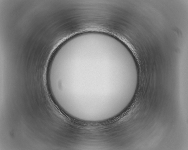 X0000113060391200908280952