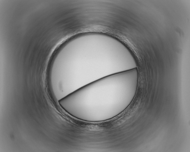 X0000113060392200908280952