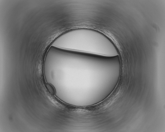 X0000113060393200908280952