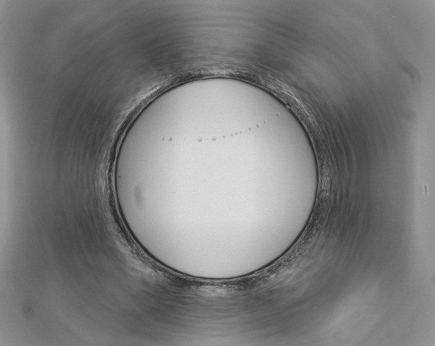 X0000113060394200908280952
