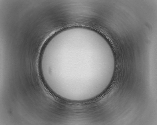 X0000113060395200908280952