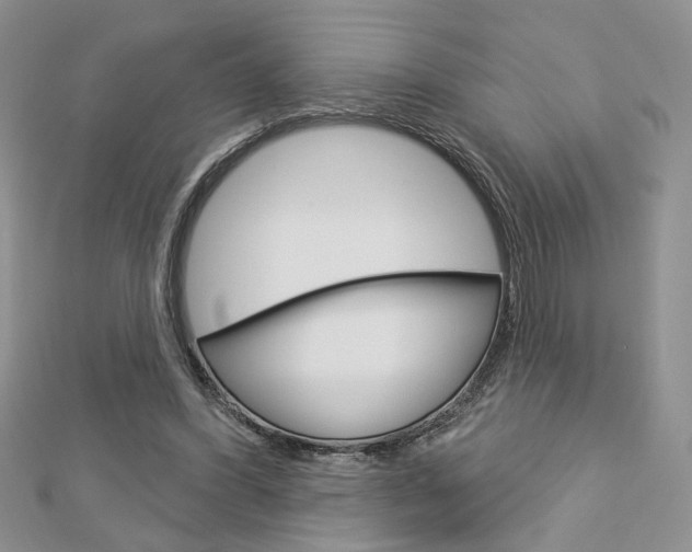 X0000113060396200908280952