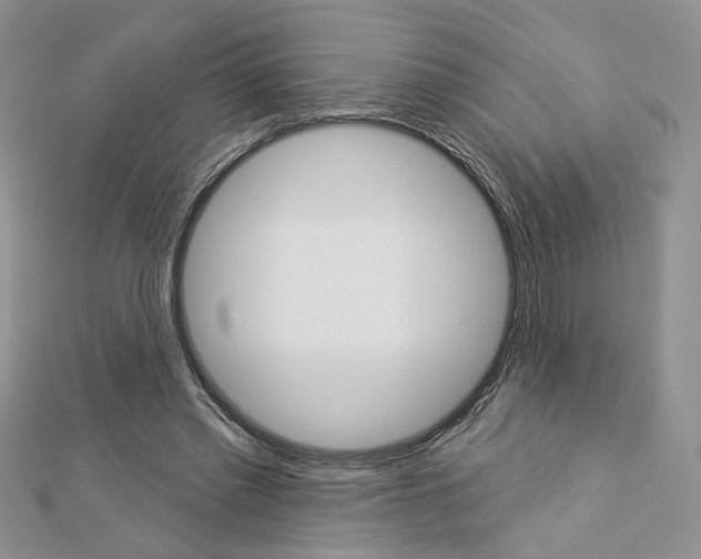 X0000113060397200908280952