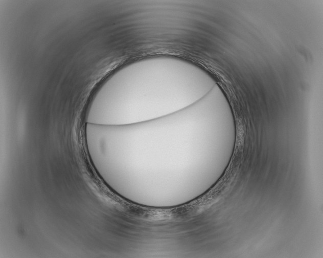 X0000113060398200908280952