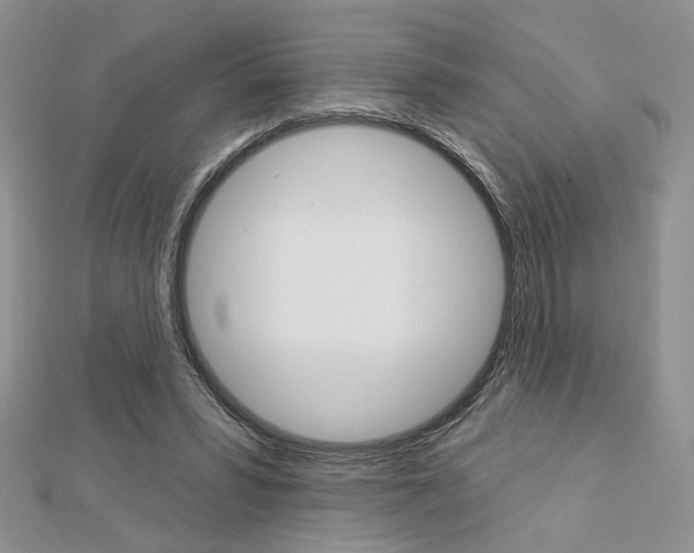 X0000113060399200908280952