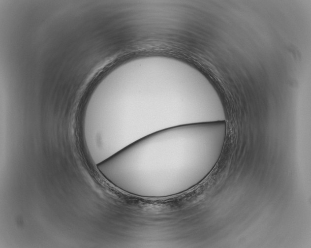X0000113060400200908280952