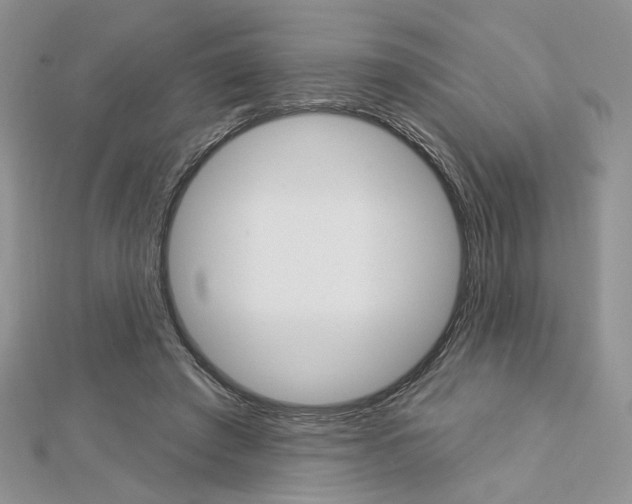 X0000113060401200908280952