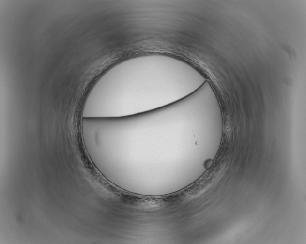 X0000113060402200908280952