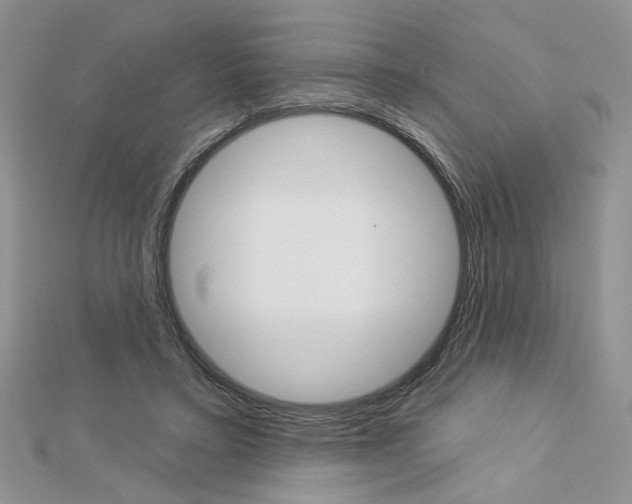 X0000113060403200908280952