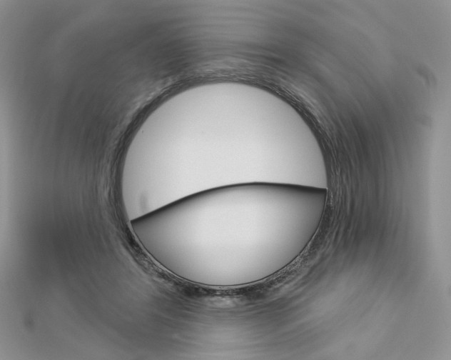 X0000113060404200908280952