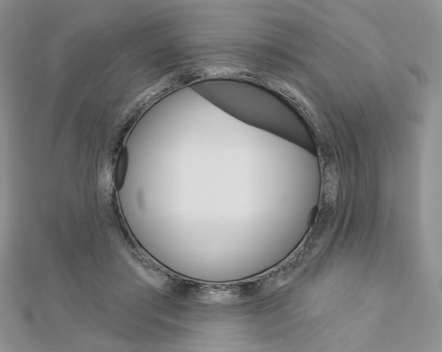 X0000113060405200908280952