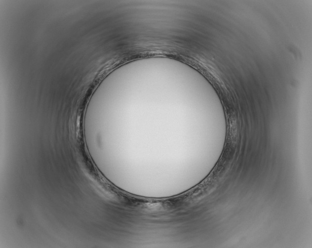 X0000113060406200908280952