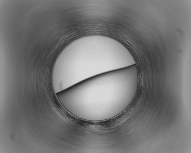 X0000113060408200908280952