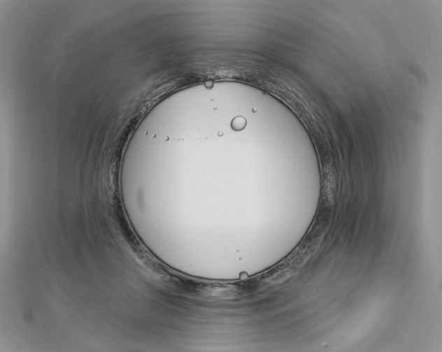 X0000113060410200908280952