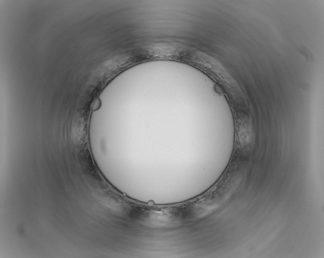 X0000113060411200908280952