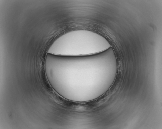 X0000113060412200908280952