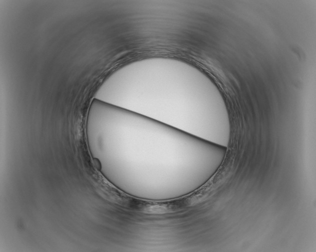 X0000113060413200908280952