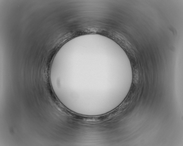 X0000113060414200908280952