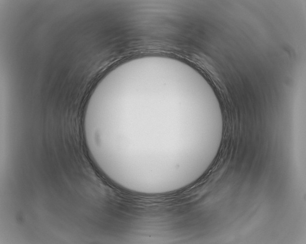 X0000113060415200908280952