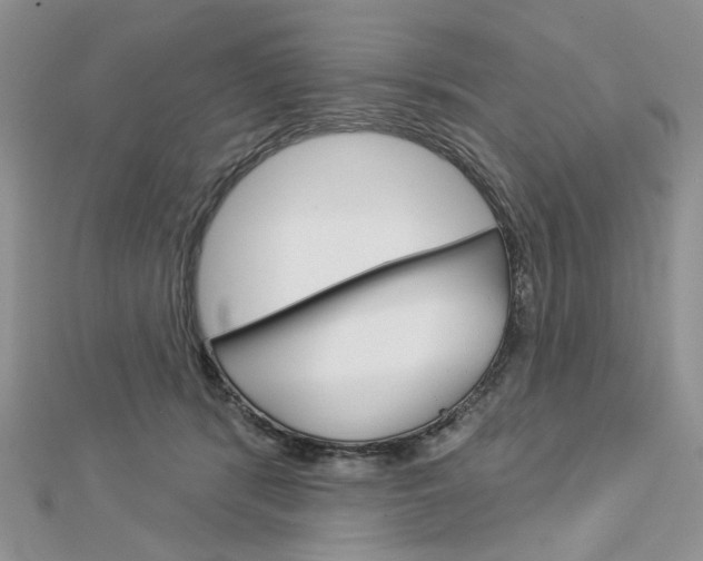 X0000113060416200908280952