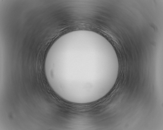 X0000113060417200908280952