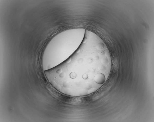 X0000113060418200908280952