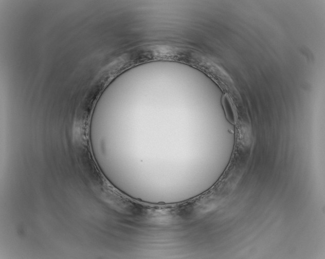 X0000113060419200908280952