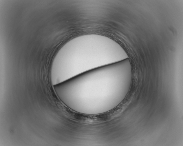 X0000113060420200908280952
