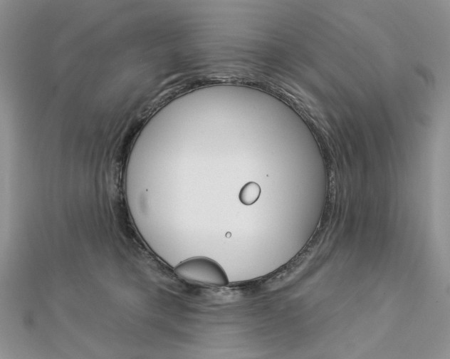 X0000113060421200908280952