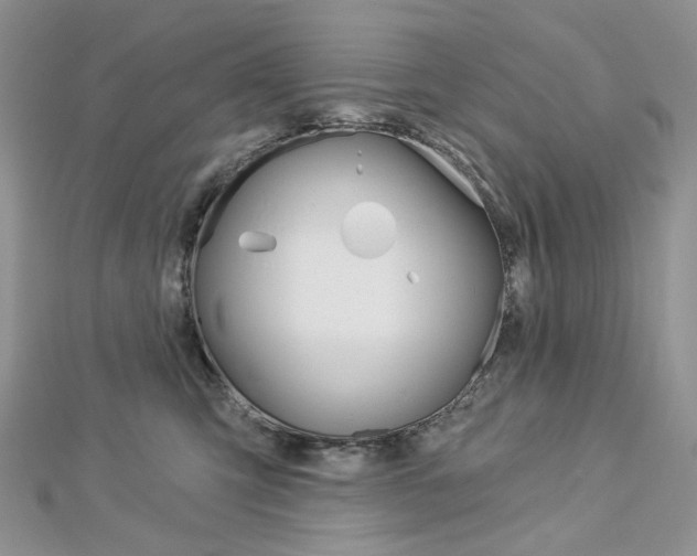 X0000113060423200908280952