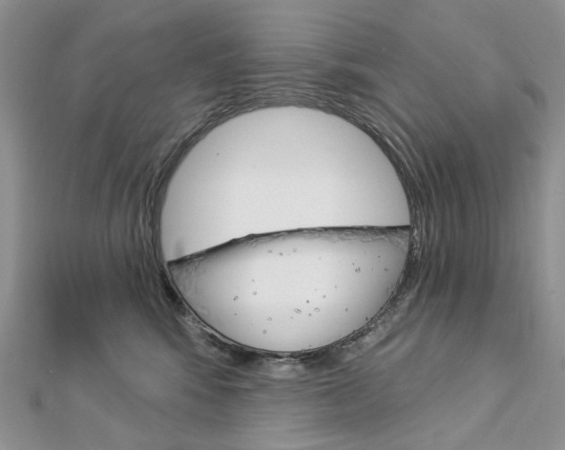 X0000113060424200908280952