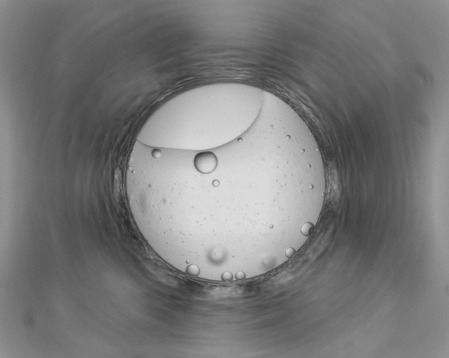 X0000113060426200908280952