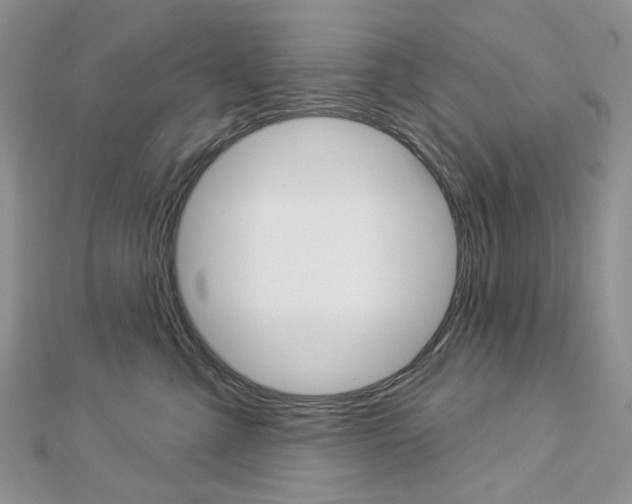 X0000113060427200908280952
