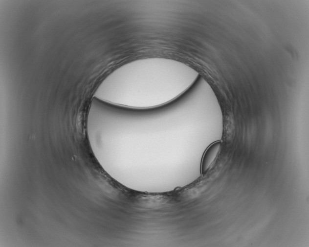 X0000113060428200908280952