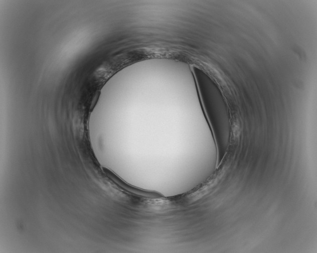X0000113060429200908280952