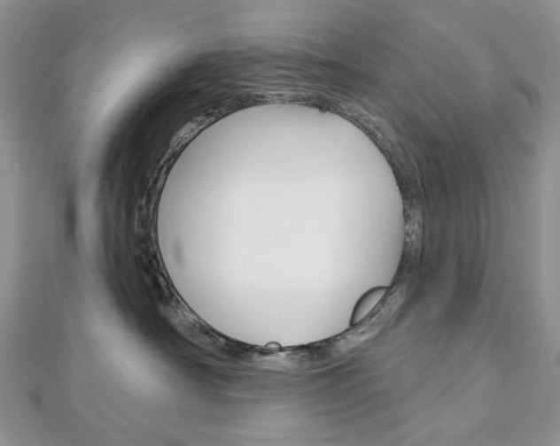 X0000113060430200908280952
