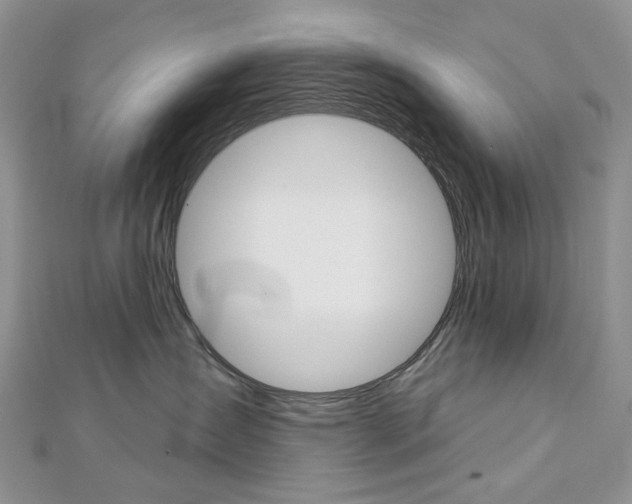 X0000113060431200908280952