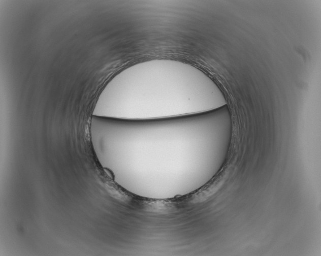 X0000113060432200908280951