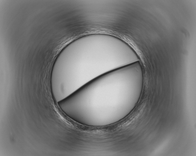 X0000113060433200908280951